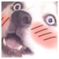 Profile picture hewhoborked.bsky.social