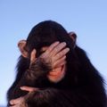 Profile picture wabbler2025.bsky.social