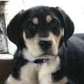 Profile picture mwellman.bsky.social