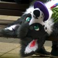 Profile picture haipaceru.bsky.social