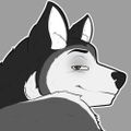 Profile picture slavskyhusky.bsky.social