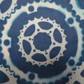Profile picture cyanotypeslisa.bsky.social