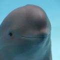 Profile picture rembel.bsky.social
