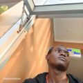 Profile picture alammistletoe.bsky.social