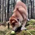 Profile picture cannabikkjen.bsky.social
