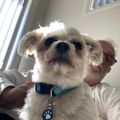 Profile picture kajacko.bsky.social