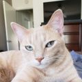 Profile picture ziggyswokedad.bsky.social