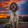 Profile picture davidresists.bsky.social