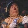 Profile picture brainlessscarecrow.bsky.social