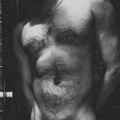 Profile picture technoraverxxx.bsky.social