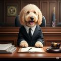 Profile picture winstondoodle.bsky.social