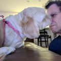 Profile picture geofffox.bsky.social