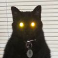 Profile picture jomo64.bsky.social