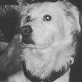 Profile picture sunshinebtfly.bsky.social