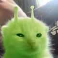 Profile picture hapiiarts.bsky.social