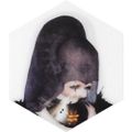 Profile picture cryptfly.bsky.social