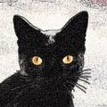 Profile picture padernia.bsky.social