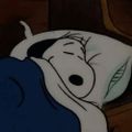 Profile picture rdrgsqr.bsky.social
