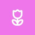 Profile picture dawnbradford10.bsky.social