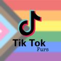 Profile picture tiktokfurs.bsky.social