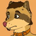 Profile picture cevelt.bsky.social