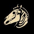 Profile picture deadzebra.com