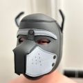 Profile picture pupollie4u.bsky.social