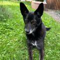 Profile picture herrdingsausbums.bsky.social