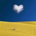 Profile picture carpedi81040920.bsky.social