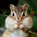 Profile picture jasrand8.bsky.social