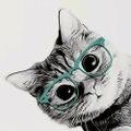 Profile picture elusivejay.bsky.social