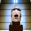 Profile picture latruffe.bsky.social