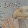 Profile picture logicalpatriot.bsky.social