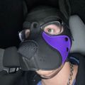 Profile picture puppermayhem.bsky.social