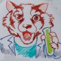 Profile picture scifurs.bsky.social