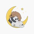 Profile picture amandascp.bsky.social