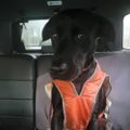 Profile picture thatdudeguydude.bsky.social
