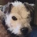 Profile picture rowlandpeveril.bsky.social