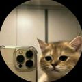 Profile picture drkkn7.bsky.social