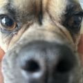 Profile picture scoochie1992.bsky.social