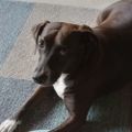 Profile picture theresasapp.bsky.social