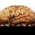 Profile picture psychopharmres.bsky.social
