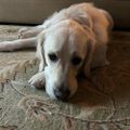 Profile picture hokie3457.bsky.social