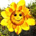 Profile picture anna5555.bsky.social