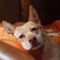 Profile picture denece.bsky.social