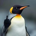 Profile picture penguinsagainstdt.bsky.social