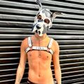 Profile picture okaytwunk.bsky.social