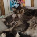 Profile picture wordyone45.bsky.social