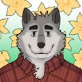 Profile picture blaiddllwyd.bsky.social