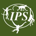 Profile picture ips-primatenews.bsky.social